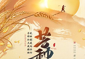 芒種|愿你光“芒”萬丈，不負(fù)“種”望