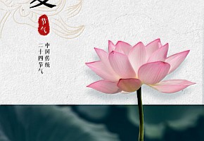 立夏|一夏安康，向陽生長