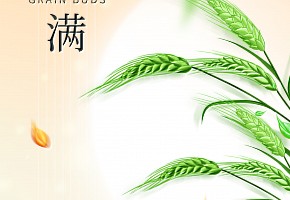 小滿|萬物見長，小得盈滿